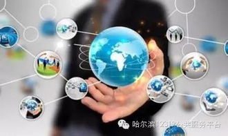 哈市政務服務邁入數字時代 互聯網系統實現“一證通辦”