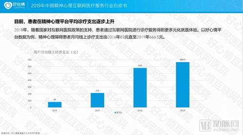 2019中國精神心理互聯網醫療服務行業白皮書 互聯網信息服務的創新與挑戰