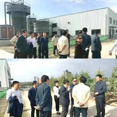 內蒙古自治區黨委常委、呼和浩特市委書記云光中一行蒞臨萬德斯環保項目現場視察指導