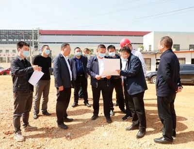 黃進到大龍開發區調研督導項目建設及生態環保、安全生產工作