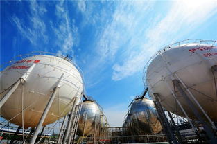 三年扭虧為盈 山西陽煤化工用煤 淬煉 價(jià)值